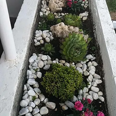 Apartment Mina Zadar